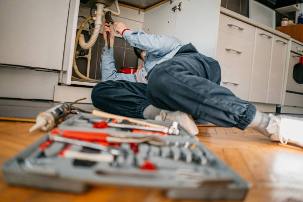 Best Toilet Repair Services  in Two Rivers, WI